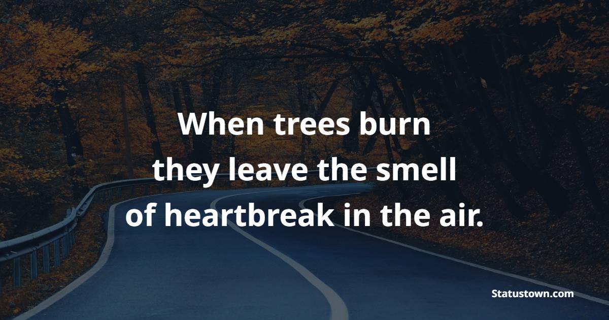 Tree Quotes