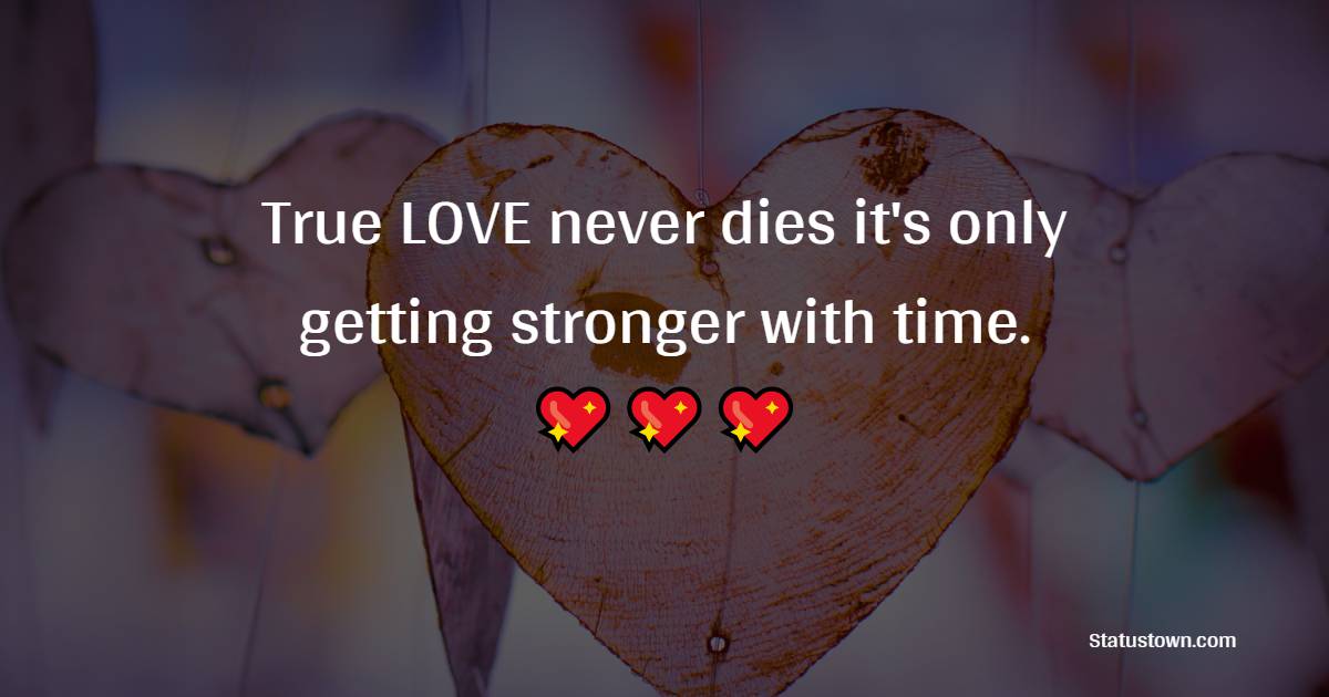 True LOVE never dies it's only getting stronger with time. - True Love