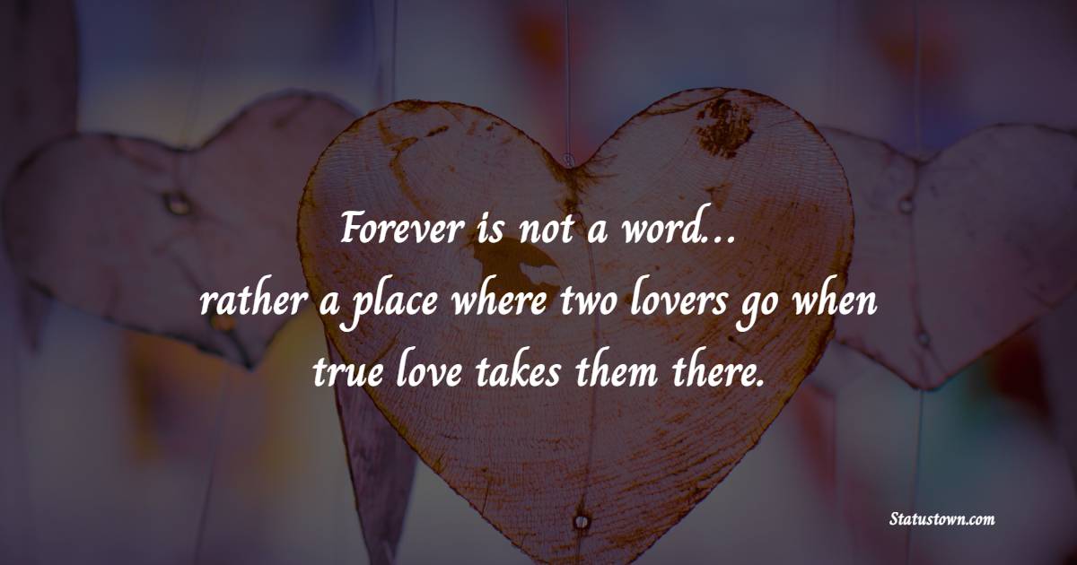 Forever is not a word… rather a place where two lovers go when true love takes them there. - True Love