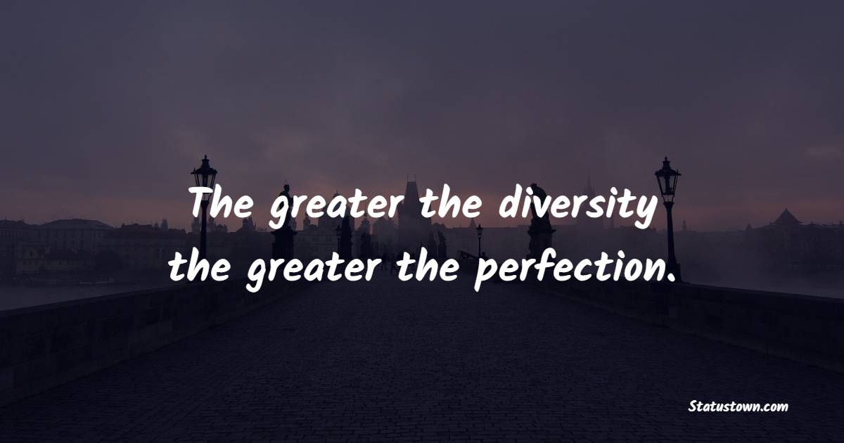 The greater the diversity, the greater the perfection. - Unity Quotes
