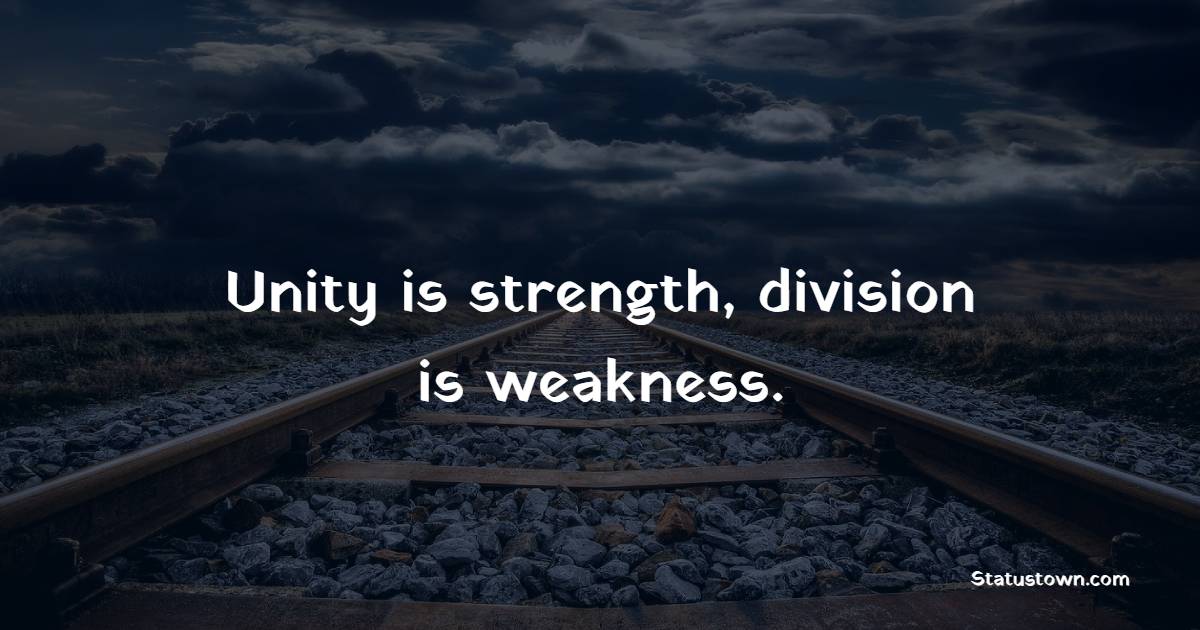 Unity Is Strength Division Is Weakness Unity Quotes