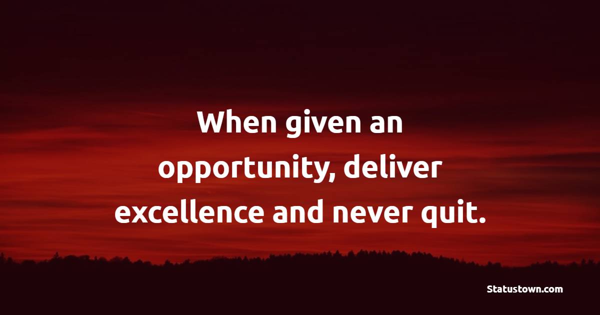 When given an opportunity, deliver excellence and never quit. - Work Quotes