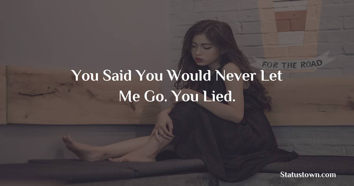 You said you would never let me go. You lied. - breakup status 