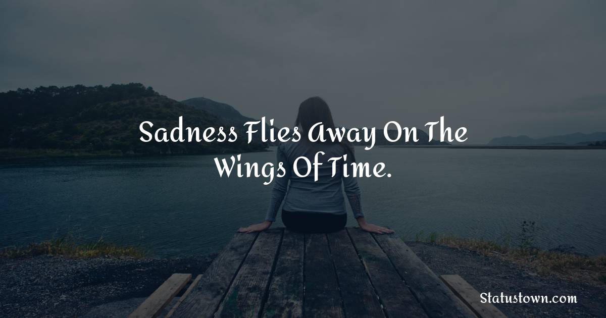 Sadness flies away on the wings of time. - breakup status