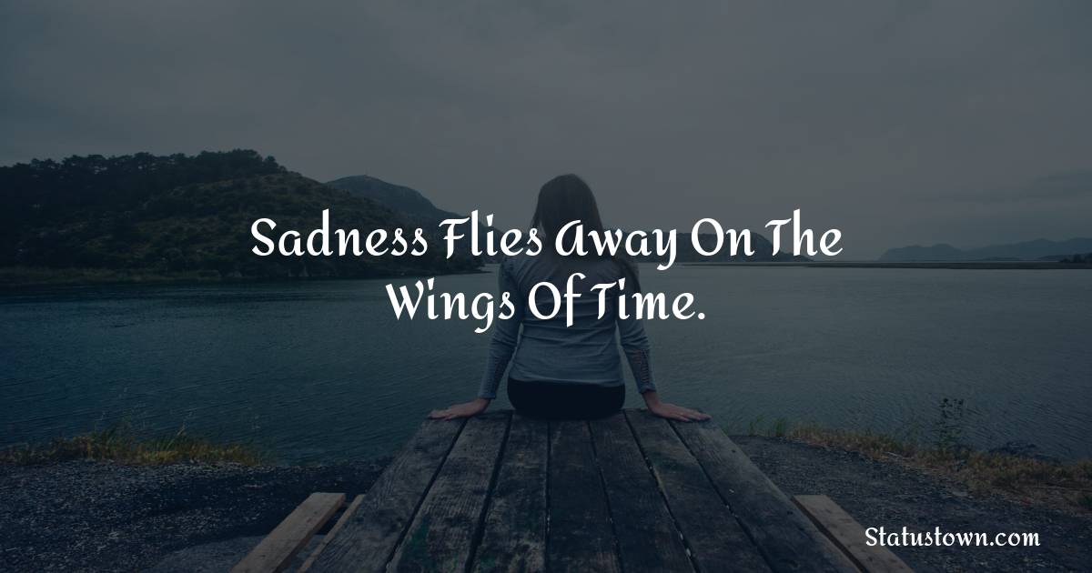 sadness-flies-away-on-the-wings-of-time-breakup-status