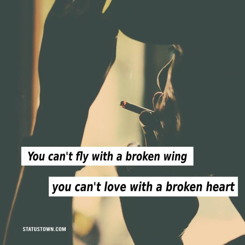You can't fly with a broken wing: you can't love with a broken heart. - broken heart status