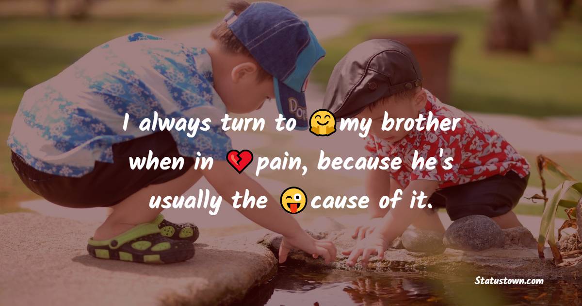 I always turn to my brother when in pain, because he's usually the cause of it. - brother status