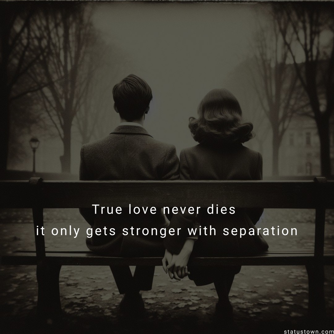 True love never dies, it only gets stronger with separation.