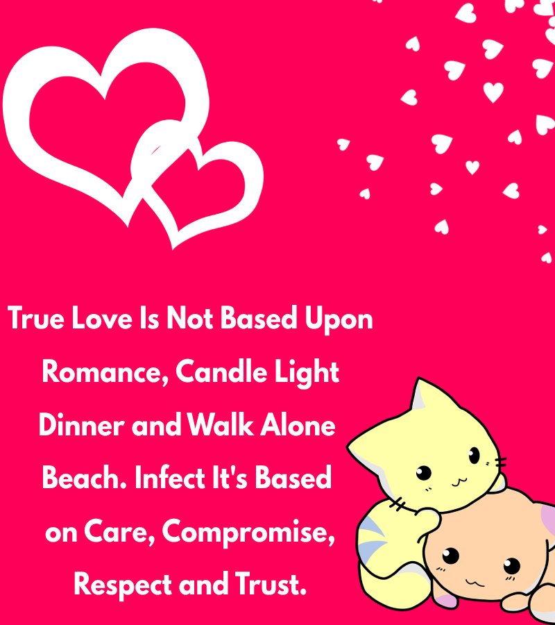 True Love is not based upon romance, candle light dinner and walk alone beach. Infect, it's based on care, compromise, respect and trust. - love status  