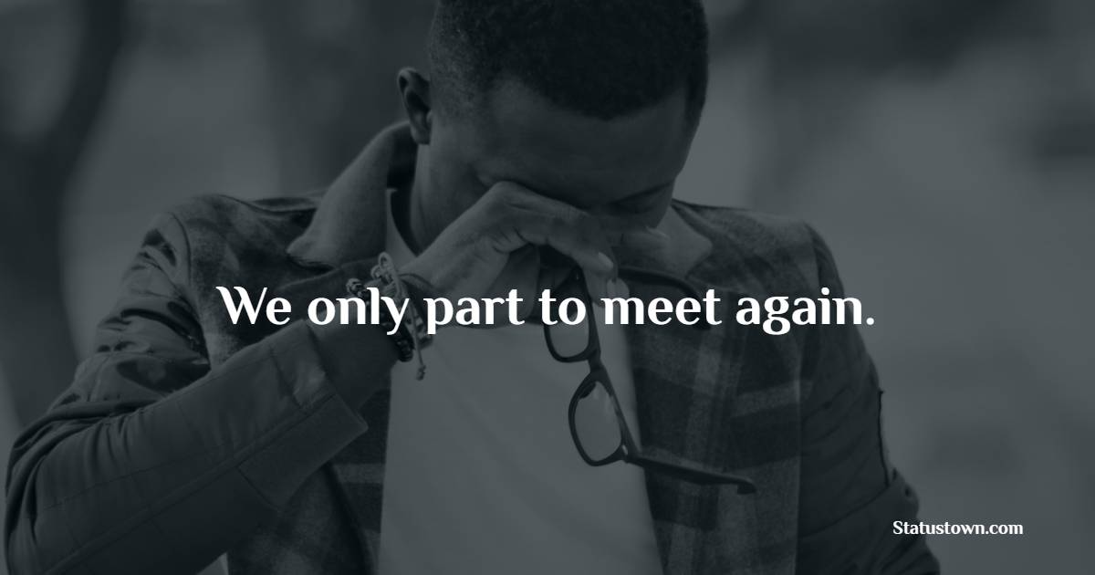 We only part to meet again. - miss you status