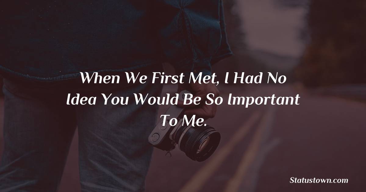 When we first met, I had no idea you would be so important to me. - sad love status 