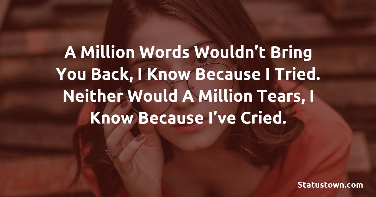 A million words wouldn’t bring you back, I know because I tried. Neither would a million tears, I know because I’ve cried. - sad status for boyfriend 