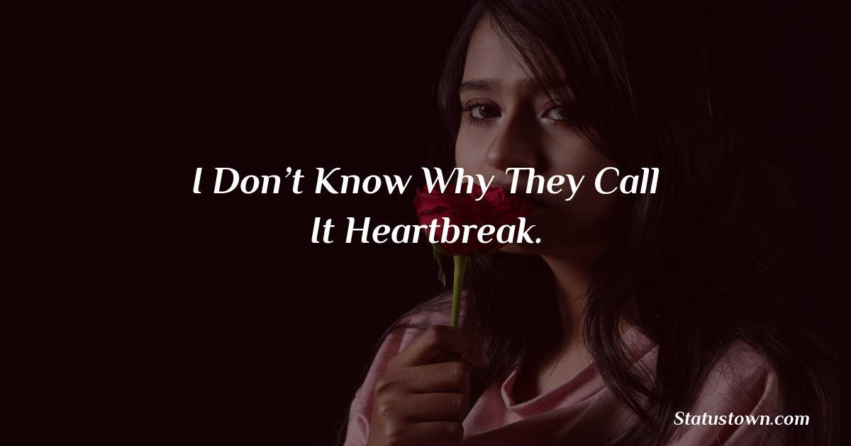 I Don’t Know Why They Call It Heartbreak. - sad status for girlfriend