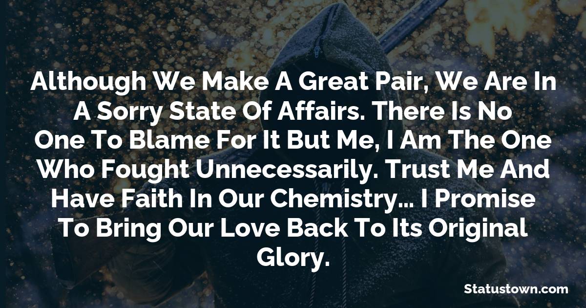 Although we make a great pair, we are in a sorry state of affairs. There is no one to blame for it but me, I am the one who fought unnecessarily. Trust me and have faith in our chemistry… I promise to bring our love back to its original glory. - sad status for wife 