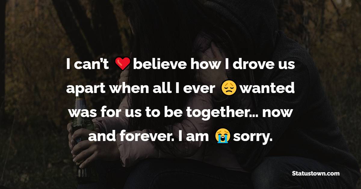 I can’t believe how I drove us apart when all I ever wanted was for us to be together… now and forever. I am sorry. - sorry status 