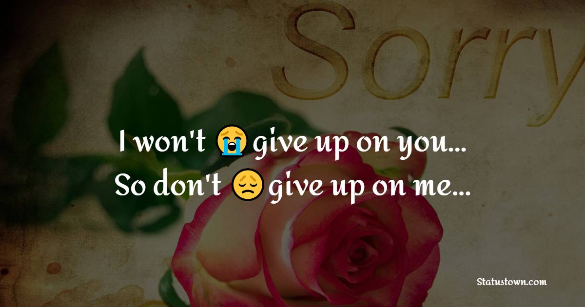 I won't give up on you... So don't give up on me...