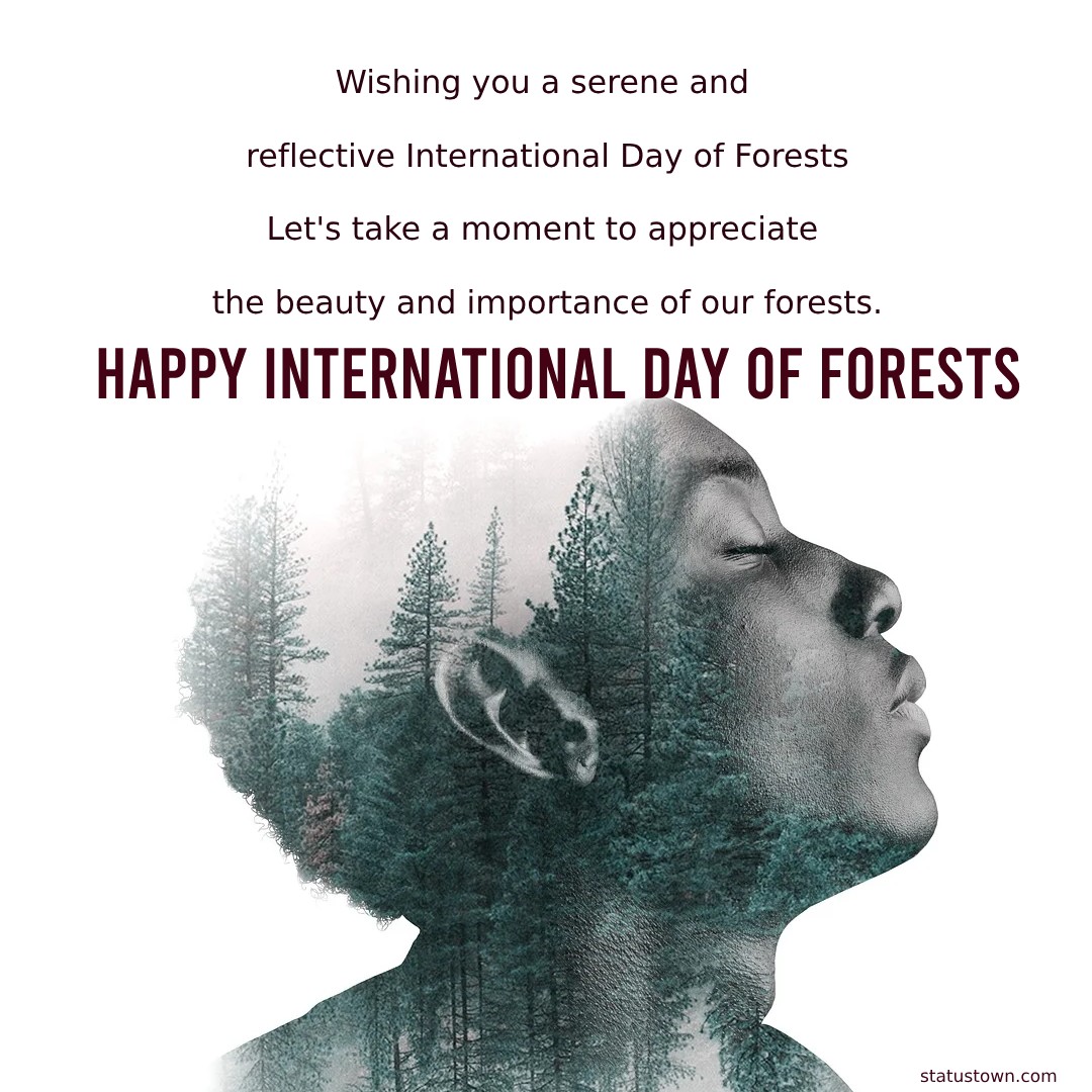 Wishing you a serene and reflective International Day of Forests! Let's take a moment to appreciate the beauty and importance of our forests. - International Day of Forests Wishes wishes, messages, and status