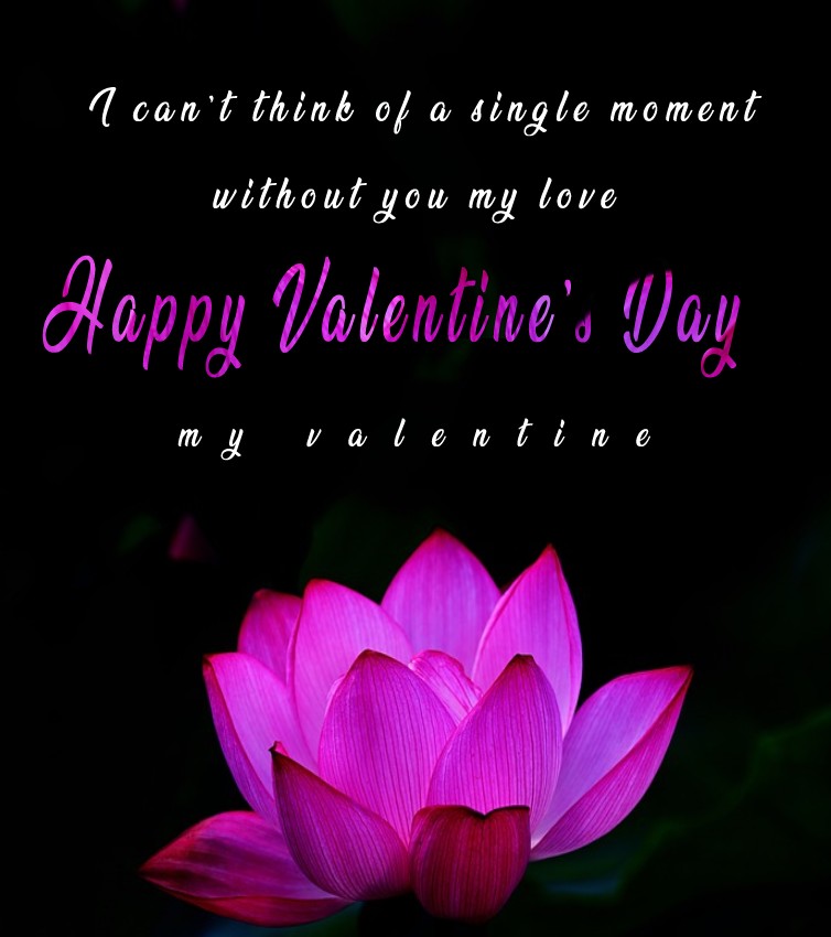 I can’t think of a single moment without you, my love. Happy Valentine’s Day, my valentine! - Valentine's Day Messages