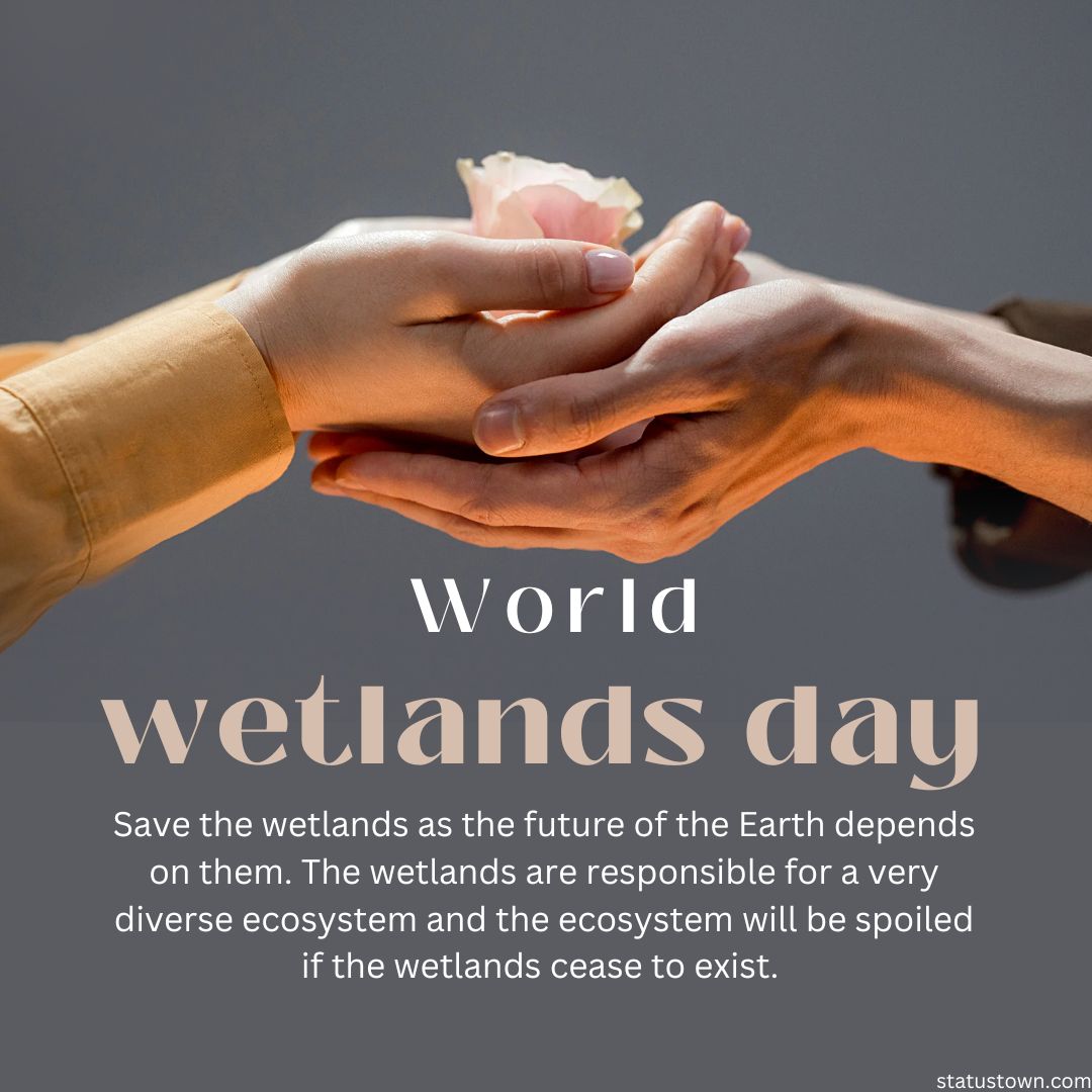 Save the wetlands as the future of the Earth depends on them. The wetlands are responsible for a very diverse ecosystem and the ecosystem will be spoiled if the wetlands cease to exist.