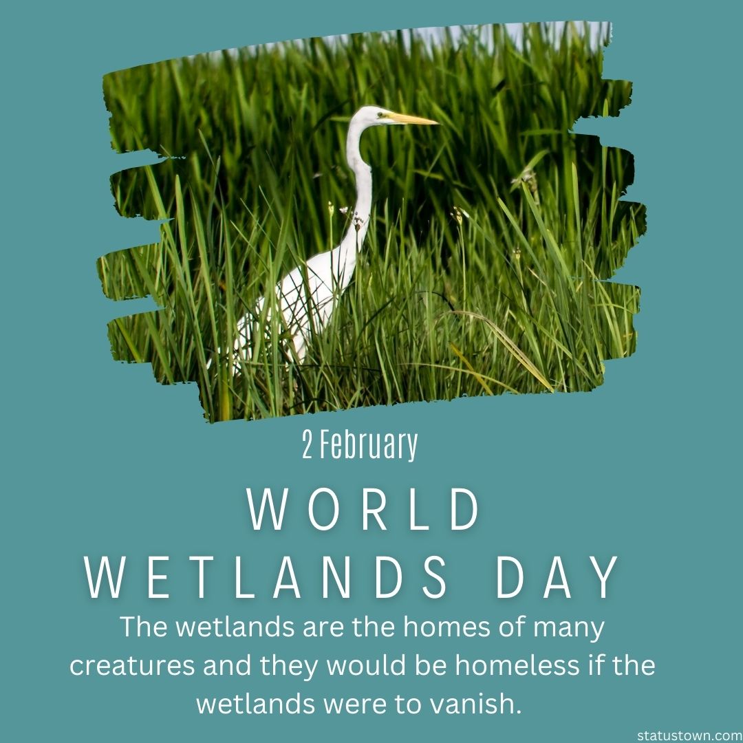 The wetlands are the homes of many creatures and they would be homeless if the wetlands were to vanish.