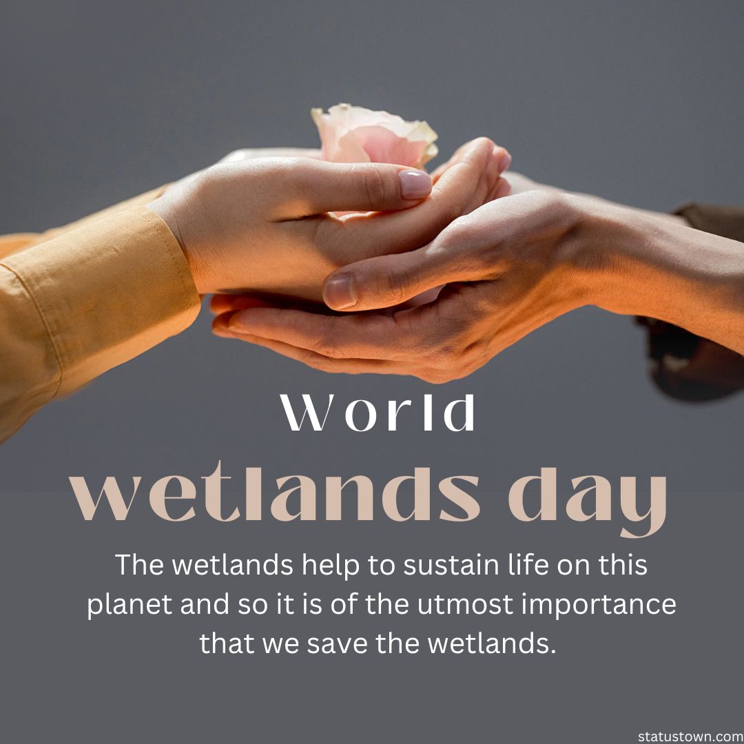 The wetlands help to sustain life on this planet and so it is of the utmost importance that we save the wetlands.