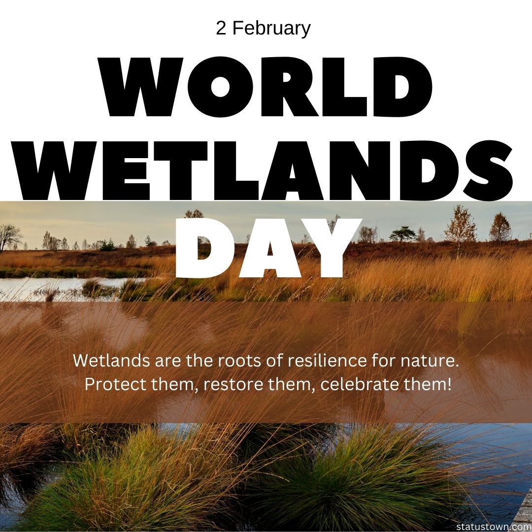 Wetlands are the roots of resilience for nature. Protect them, restore them, celebrate them!