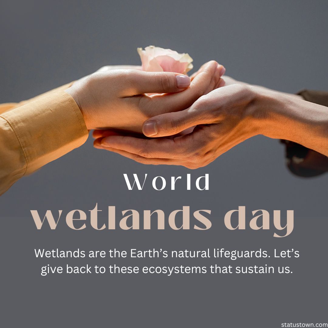 Wetlands are the Earth’s natural lifeguards. Let’s give back to these ecosystems that sustain us.