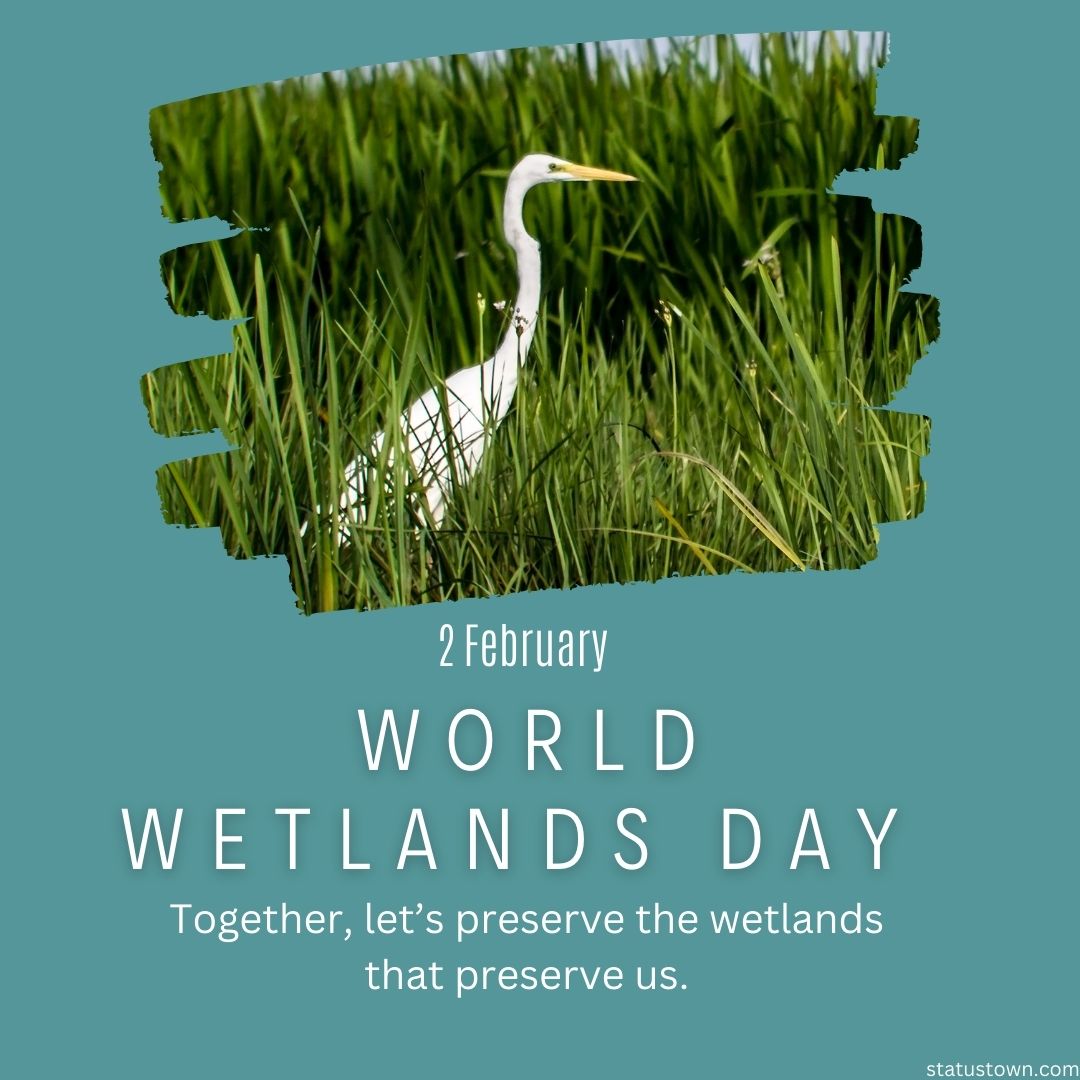 Happy World Wetlands Day! Together, let’s preserve the wetlands that preserve us.