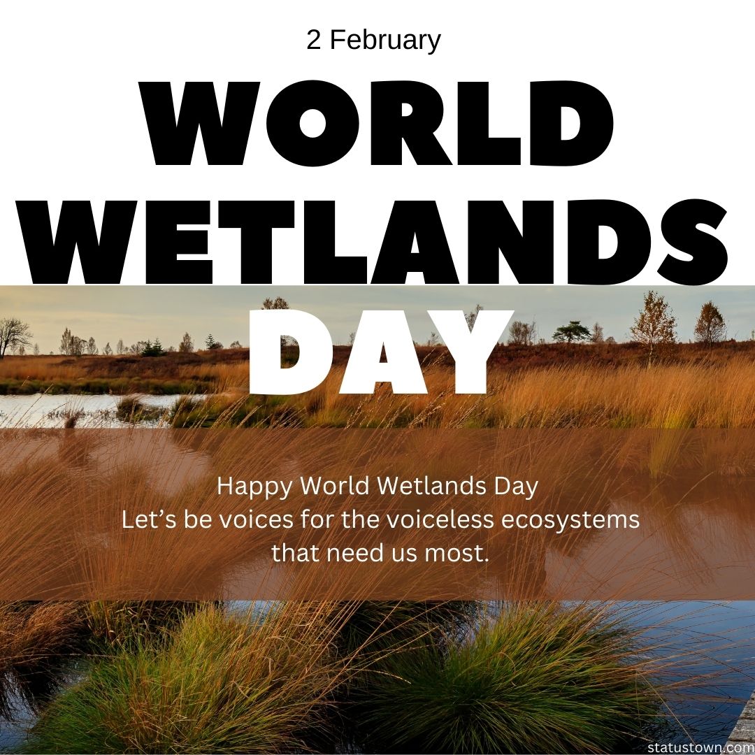 Happy World Wetlands Day! Let’s be voices for the voiceless ecosystems that need us most.