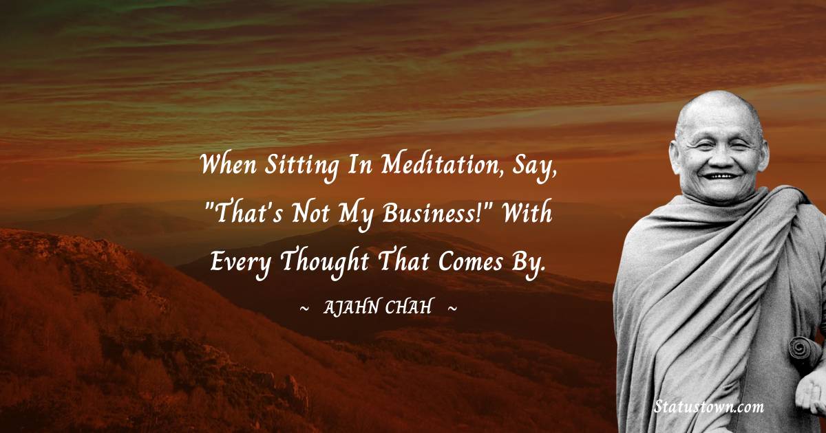 Ajahn Chah Quotes - When sitting in meditation, say, 