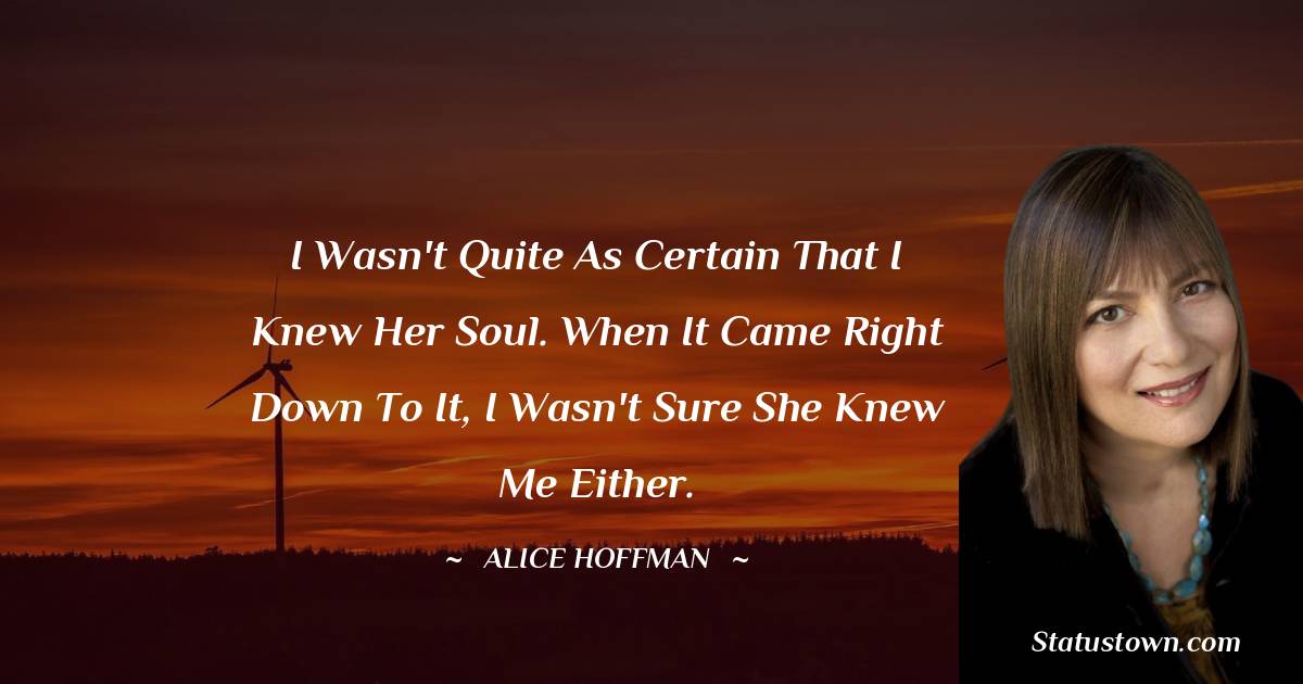 Alice Hoffman Quotes - I wasn't quite as certain that I knew her soul. When it came right down to it, I wasn't sure she knew me either.