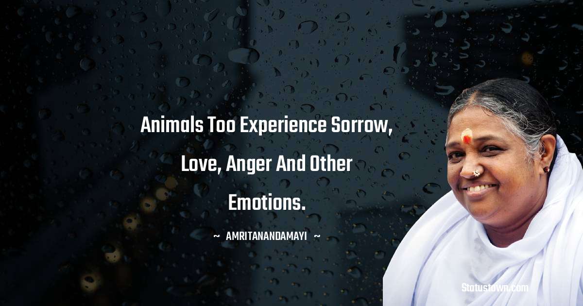Animals too experience sorrow, love, anger and other emotions. - Amritanandamayi  quotes