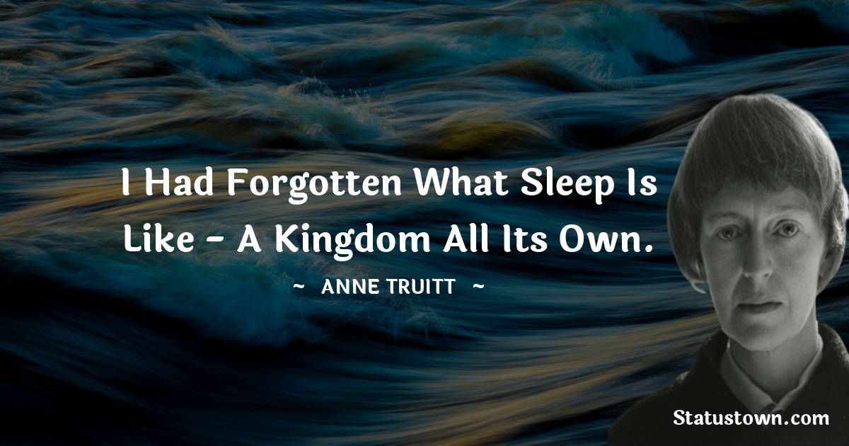 I had forgotten what sleep is like - a kingdom all its own. - Anne Truitt quotes
