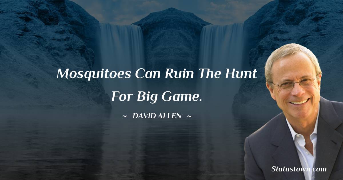 David Allen Unique Quotes