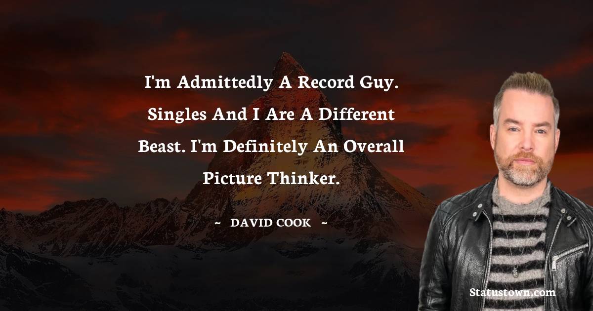 I'm admittedly a record guy. Singles and I are a different beast. I'm definitely an overall picture thinker. - David Cook quotes