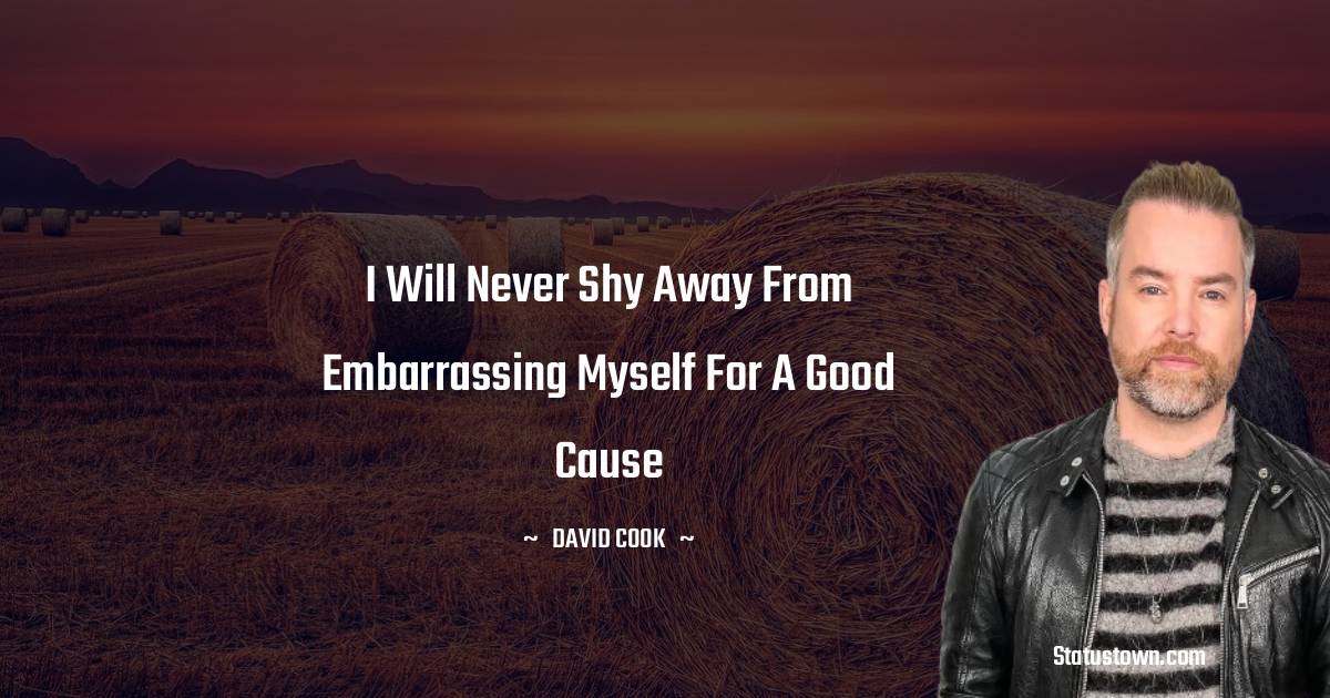 David Cook Short Quotes