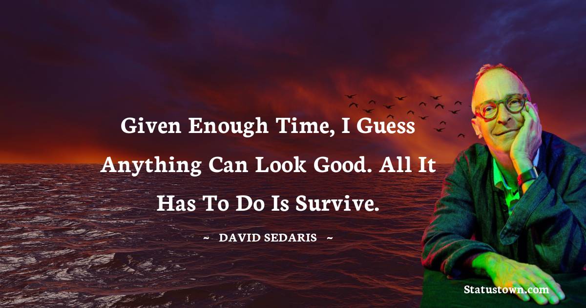 David Sedaris Quotes - Given enough time, I guess anything can look good. All it has to do is survive.