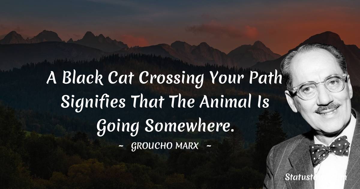 A black cat crossing your path signifies that the animal is going somewhere. - Groucho Marx quotes