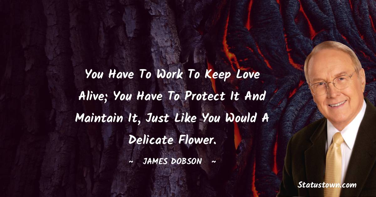 James Dobson Quotes - You have to work to keep love alive; you have to protect it and maintain it, just like you would a delicate flower.