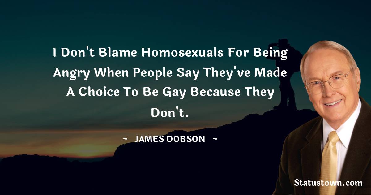 I don't blame homosexuals for being angry when people say they've made a choice to be gay because they don't. - James Dobson quotes