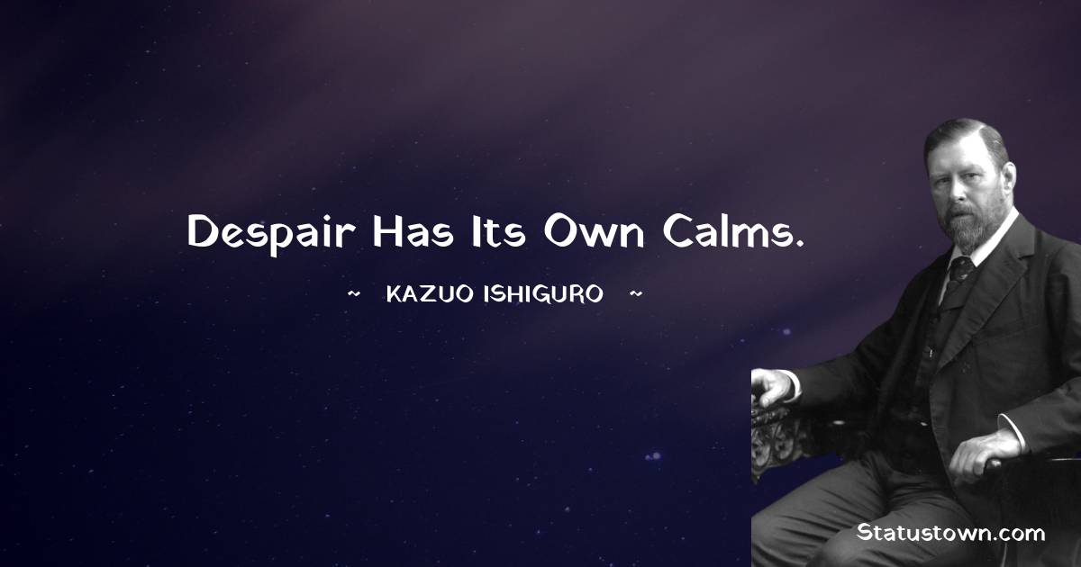 Despair has its own calms.