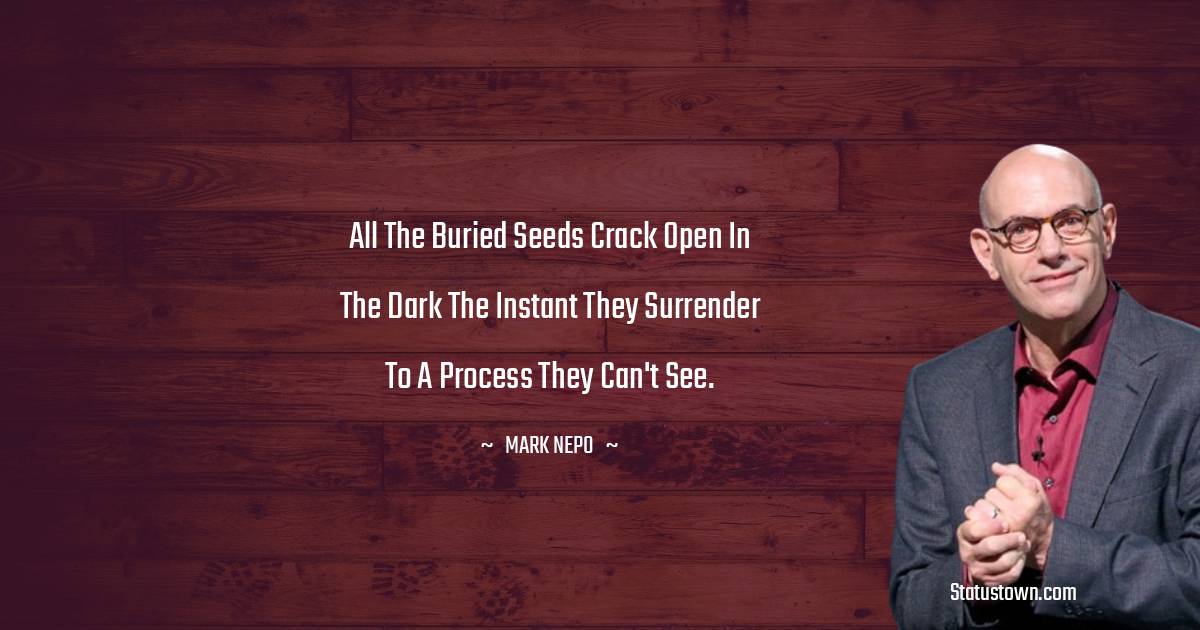 Mark Nepo Quotes - All the buried seeds crack open in the dark the instant they surrender to a process they can't see.