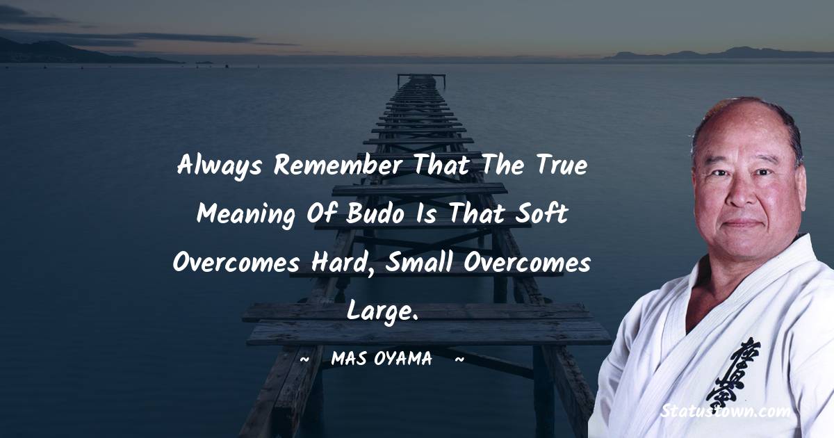 Always remember that the true meaning of Budo is that soft overcomes hard, small overcomes large. - Mas Oyama quotes