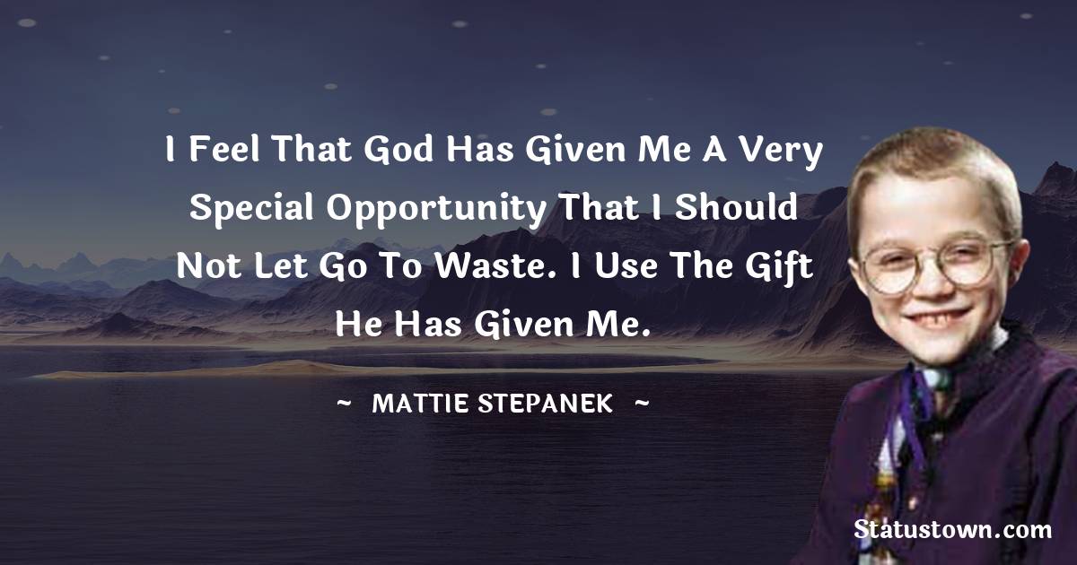 Mattie Stepanek Quotes - I feel that God has given me a very special opportunity that I should not let go to waste. I use the gift he has given me.