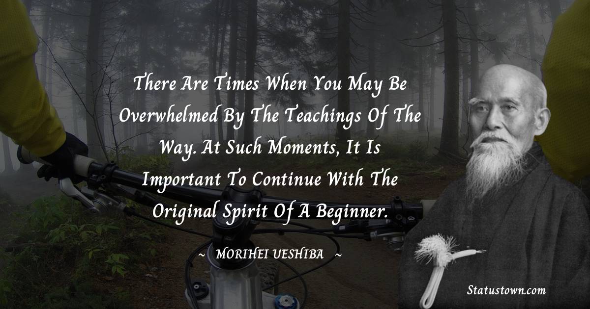 There are times when you may be overwhelmed by the teachings of the Way. At such moments, it is important to continue with the original spirit of a beginner.