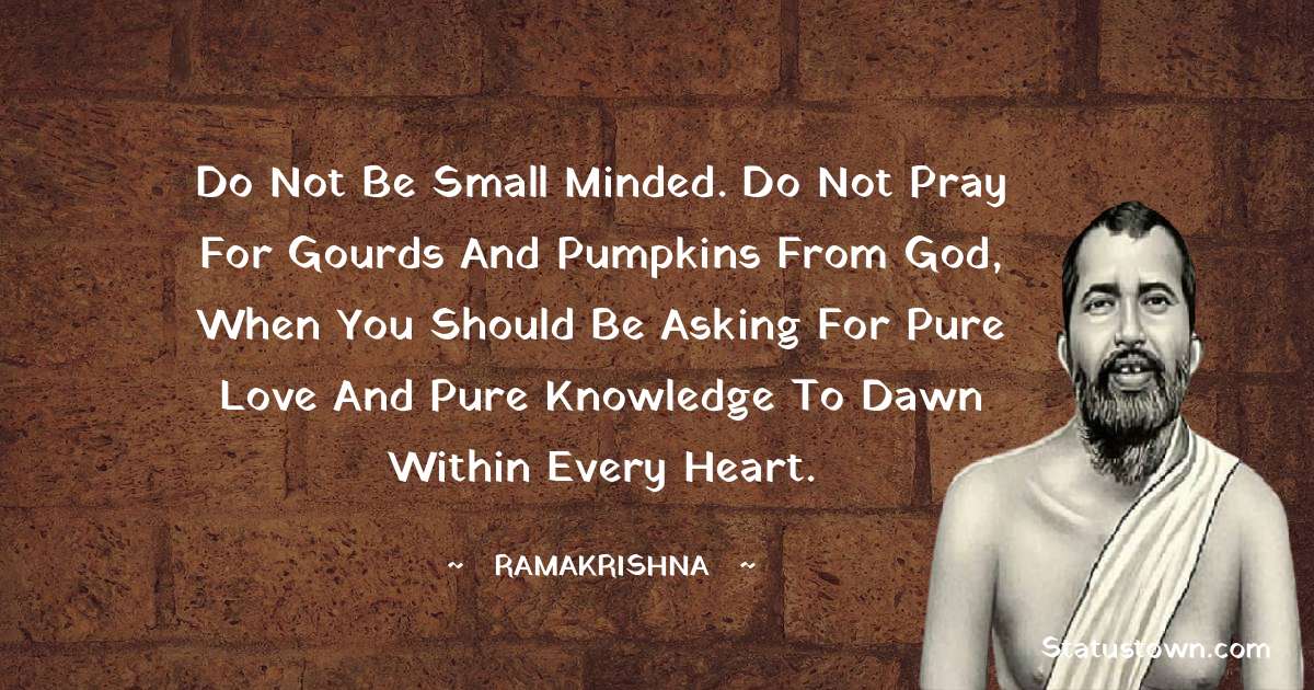Do not be small minded. Do not pray for gourds and pumpkins from God, when you should be asking for pure love and pure knowledge to dawn within every heart.