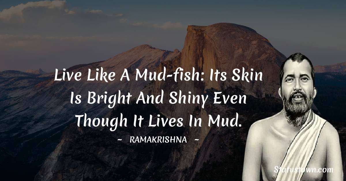 Ramakrishna Quotes - Live like a mud-fish: its skin is bright and shiny even though it lives in mud.