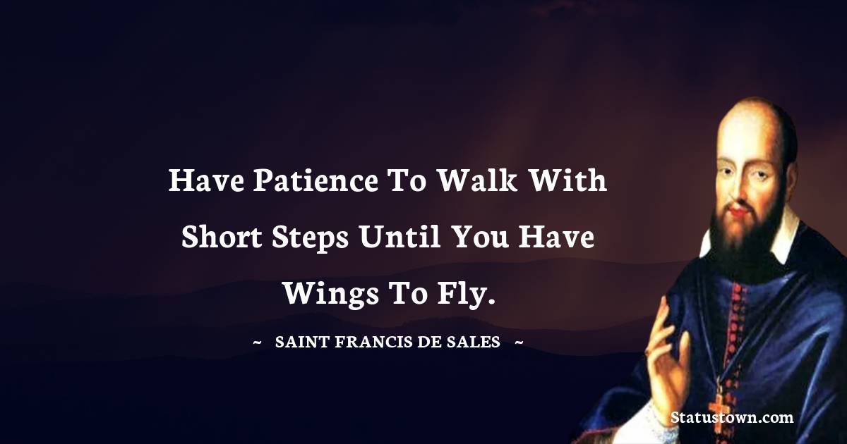 Have patience to walk with short steps until you have wings to fly. - Saint Francis de Sales quotes