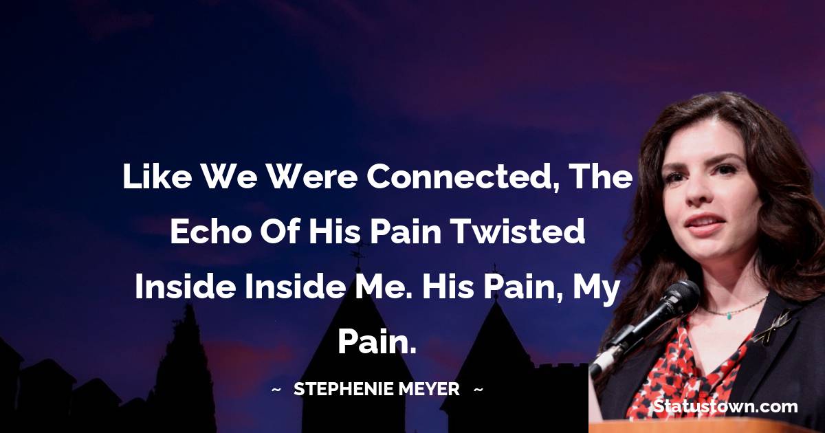 Like we were connected, the echo of his pain twisted inside inside me. his pain, my pain. - Stephenie Meyer quotes