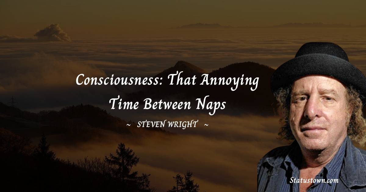 Consciousness: That annoying time between naps - Steven Wright quotes
